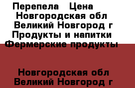 Перепела › Цена ­ 99 - Новгородская обл., Великий Новгород г. Продукты и напитки » Фермерские продукты   . Новгородская обл.,Великий Новгород г.